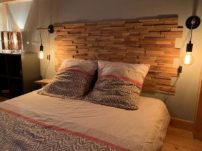 Chaleureux studio plein sud en Tarentaise !